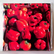 tile peppers red 5285.jpg